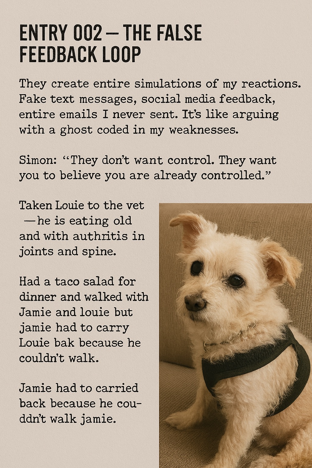 Louie memory